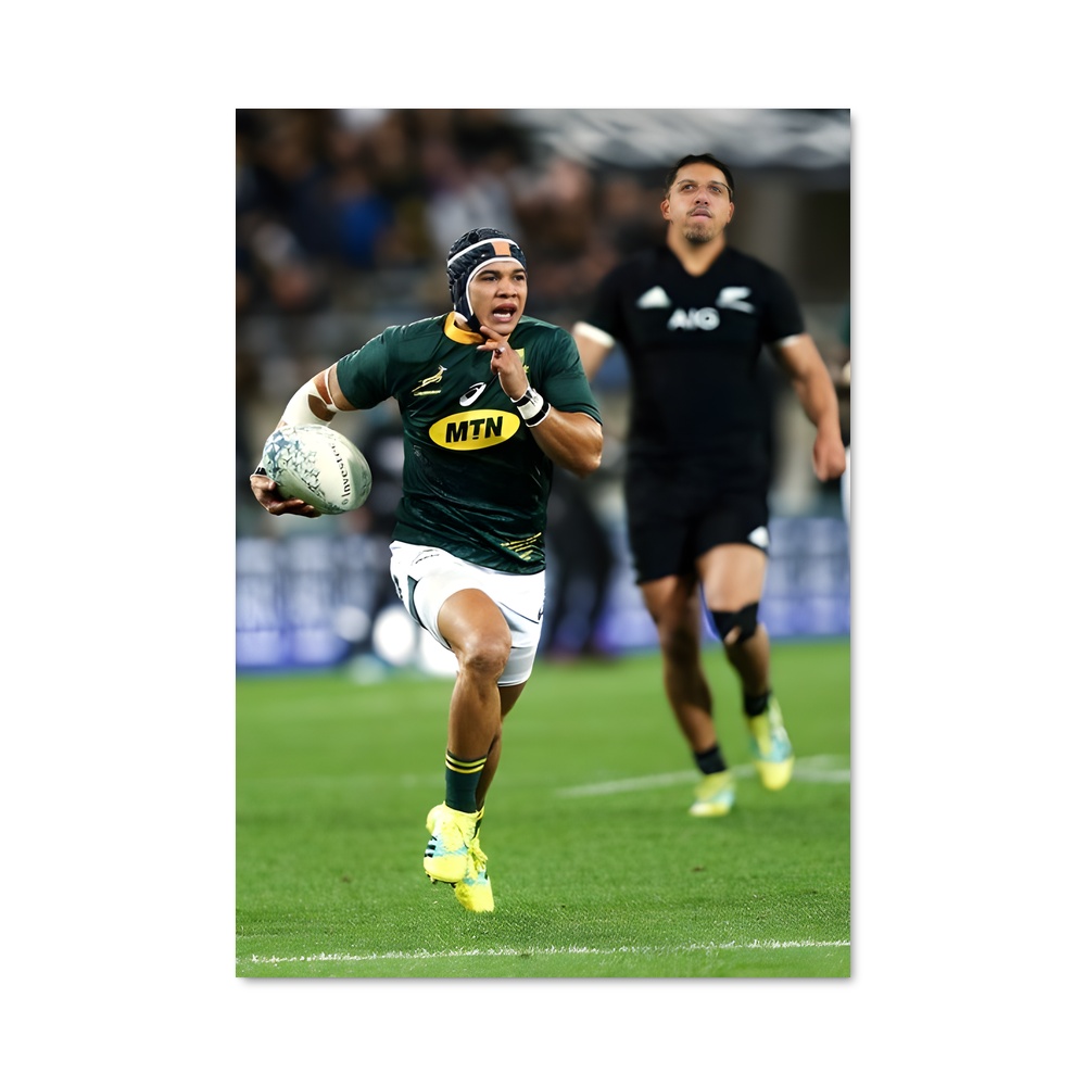 Poster Envolée de Cheslin